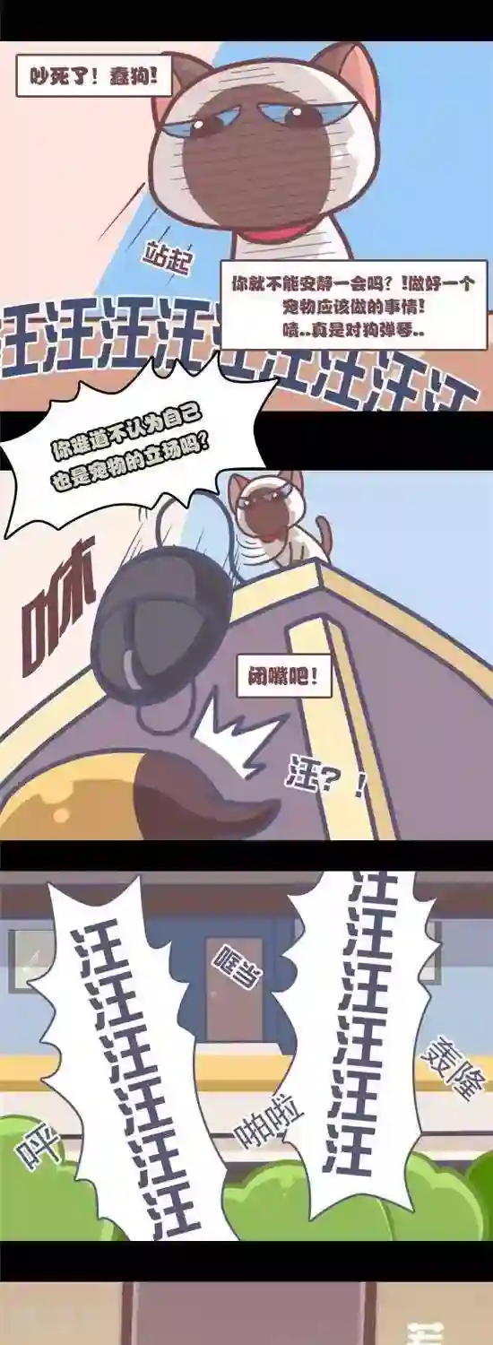 喵星人日记第2话