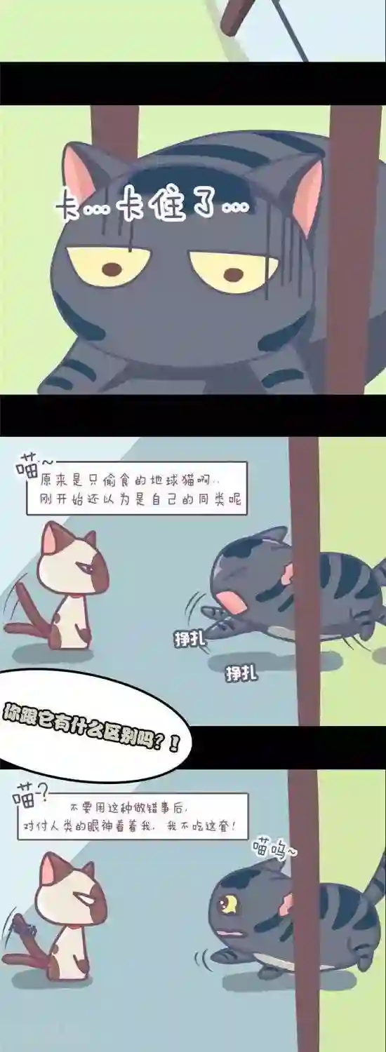 喵星人日记第3话