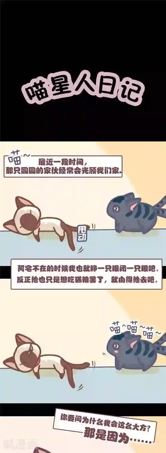 喵星人日记第4话