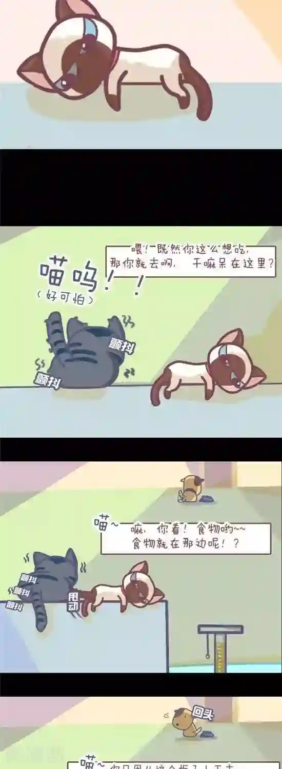 喵星人日记第4话