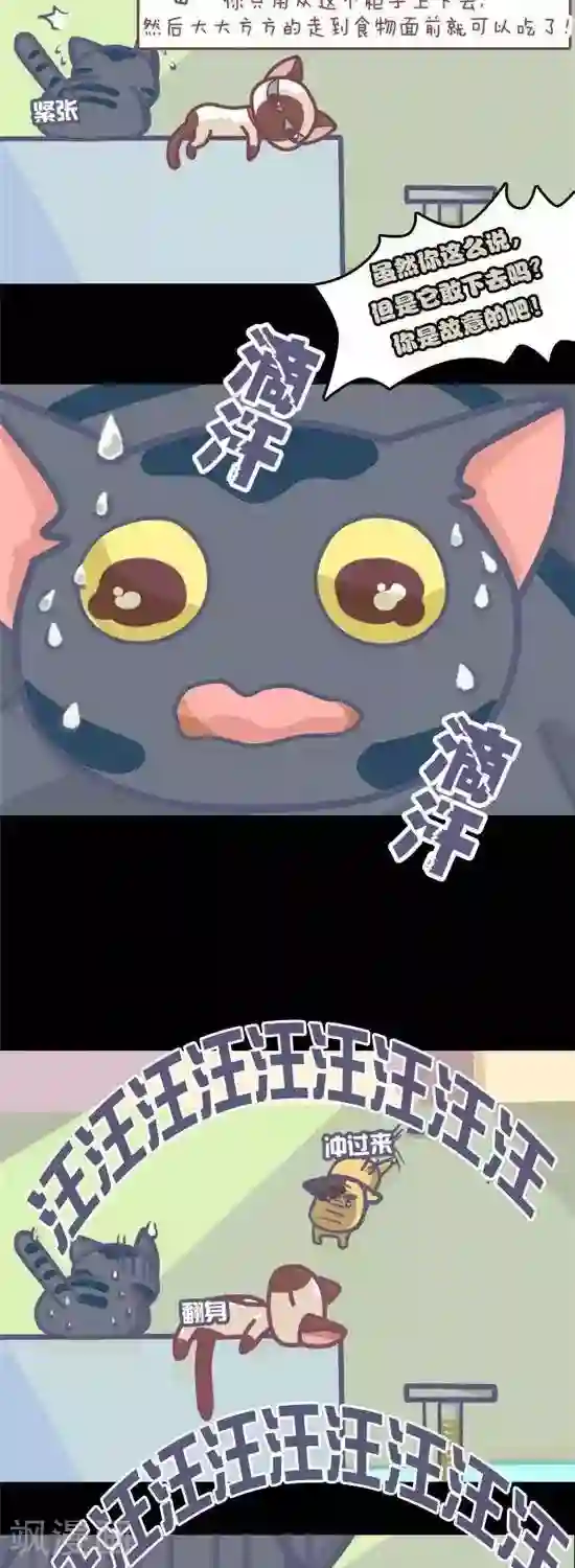 喵星人日记第4话