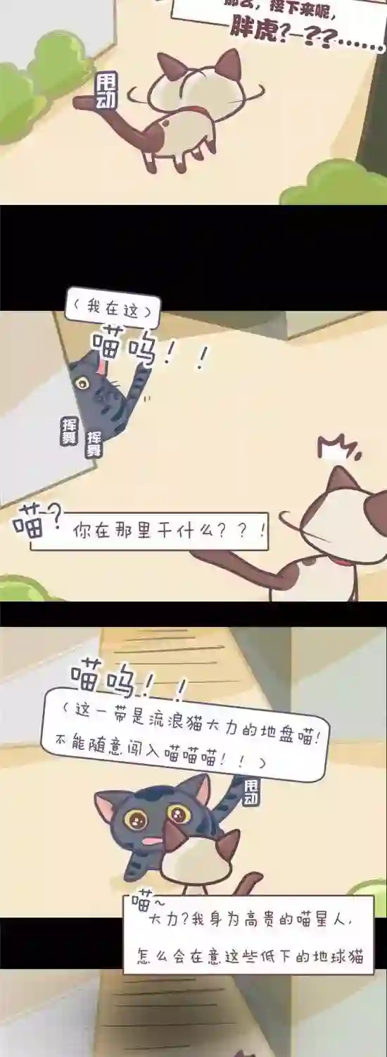 喵星人日记第5话