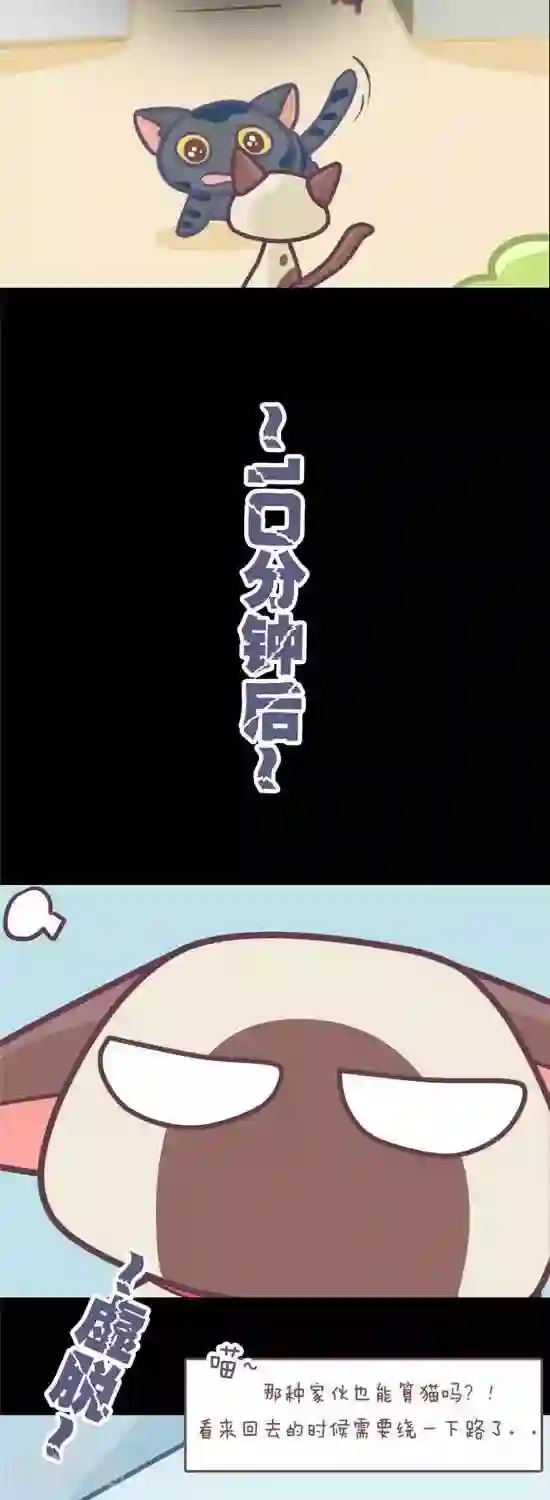 喵星人日记第5话