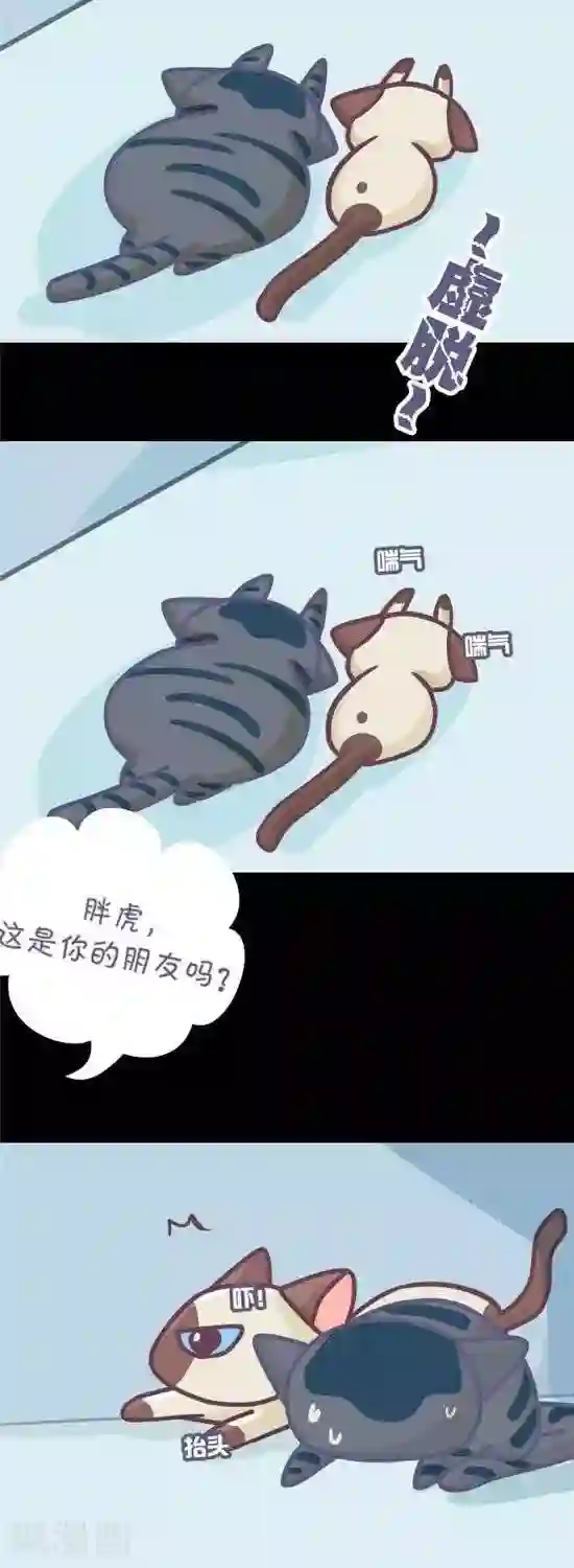 喵星人日记第5话