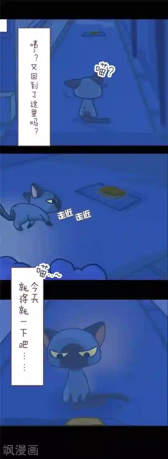 喵星人日记第6话