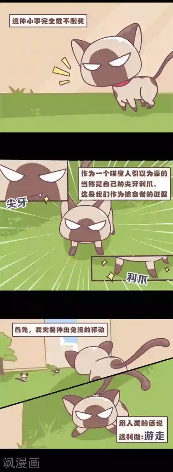 喵星人日记第7话