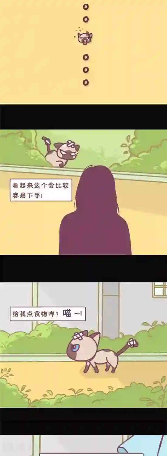 喵星人日记第8话