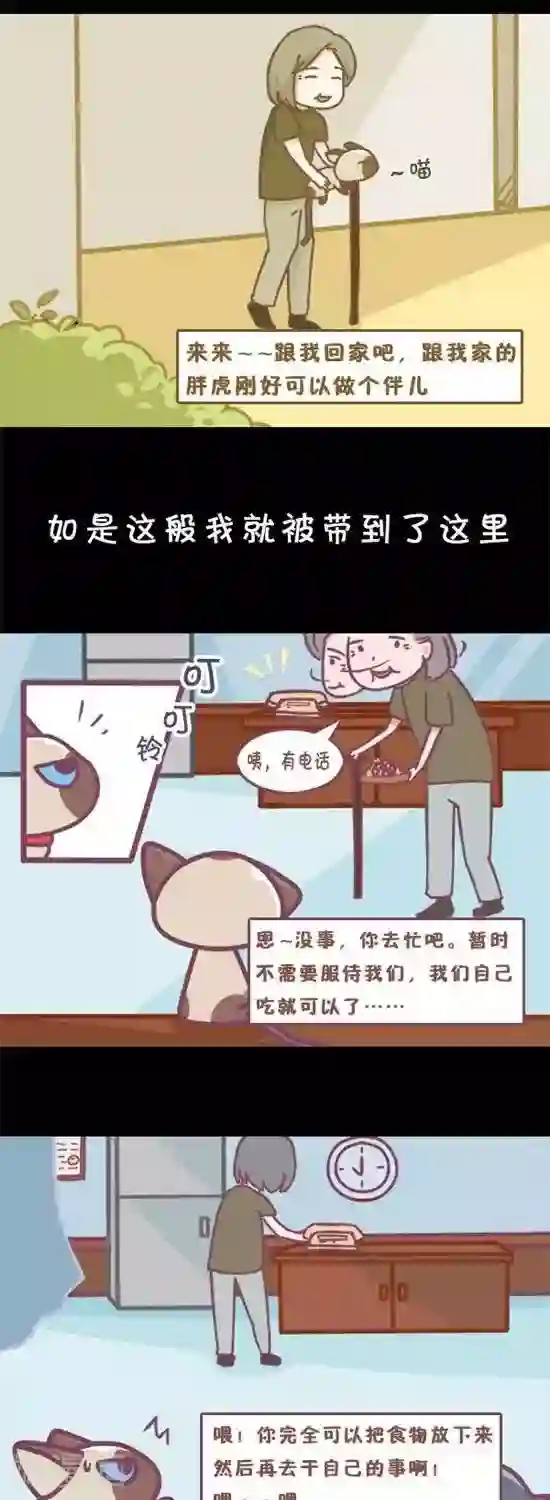 喵星人日记第9话