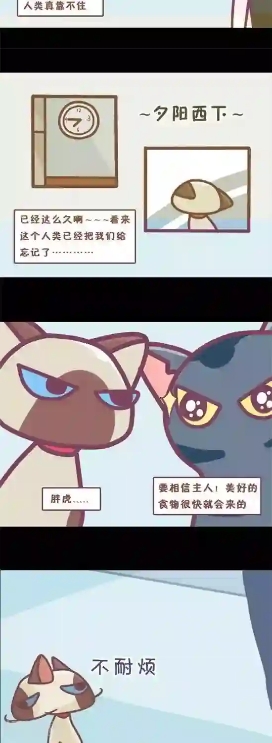 喵星人日记第9话