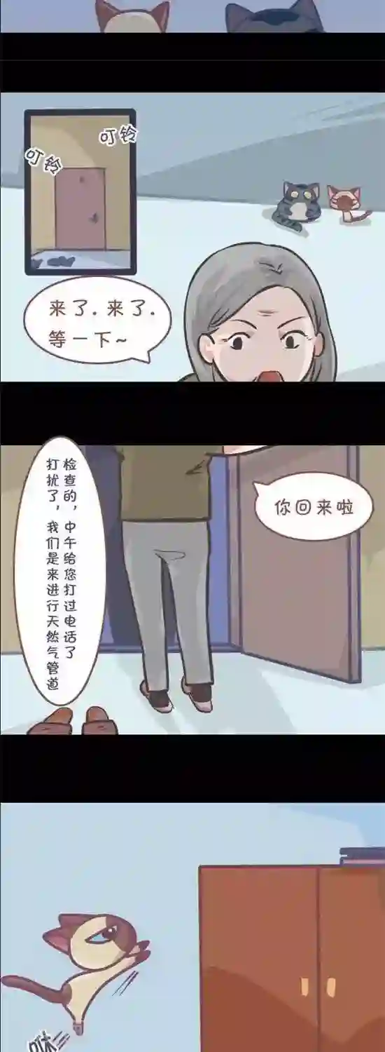 喵星人日记第9话