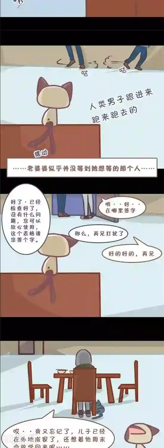 喵星人日记第9话