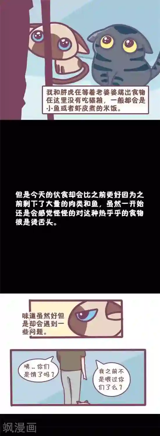 喵星人日记第10话