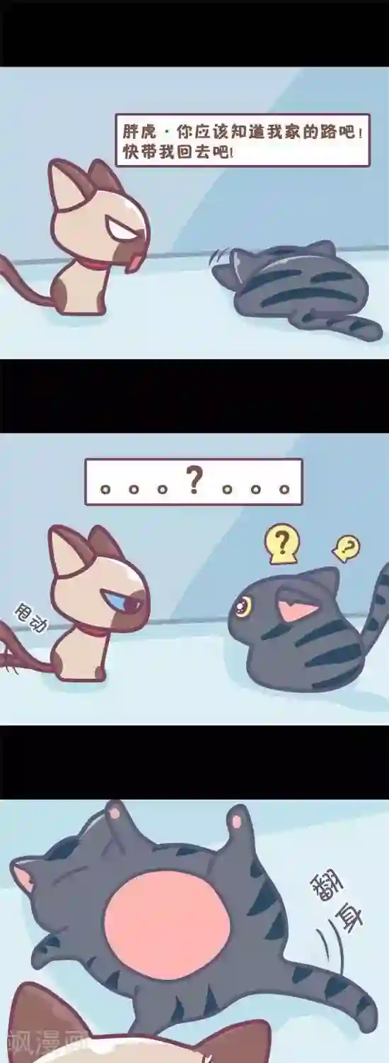 韩国免费无迹遮漫画