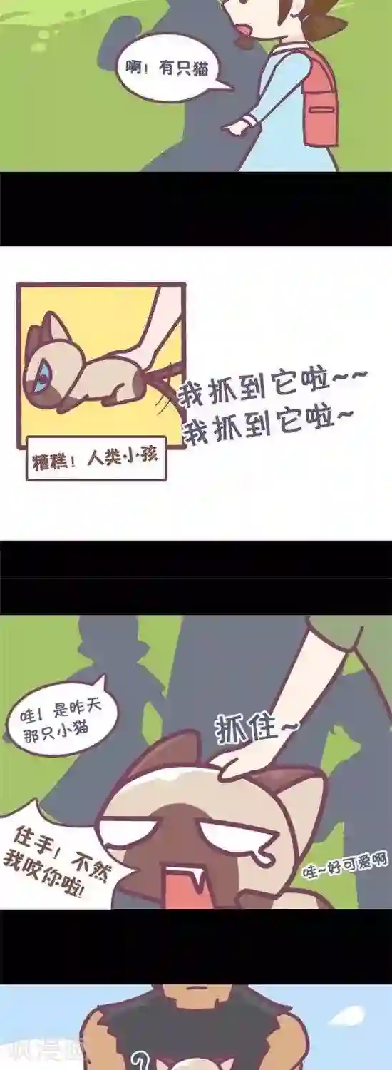 韩国免费无迹遮漫画