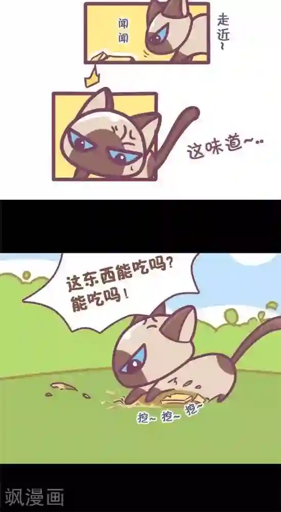韩国免费无迹遮漫画
