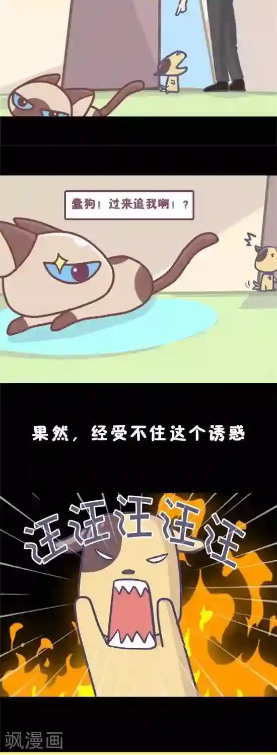 喵星人日记第12话