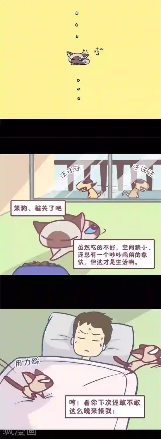 进来今天老师就是你的人了第12话