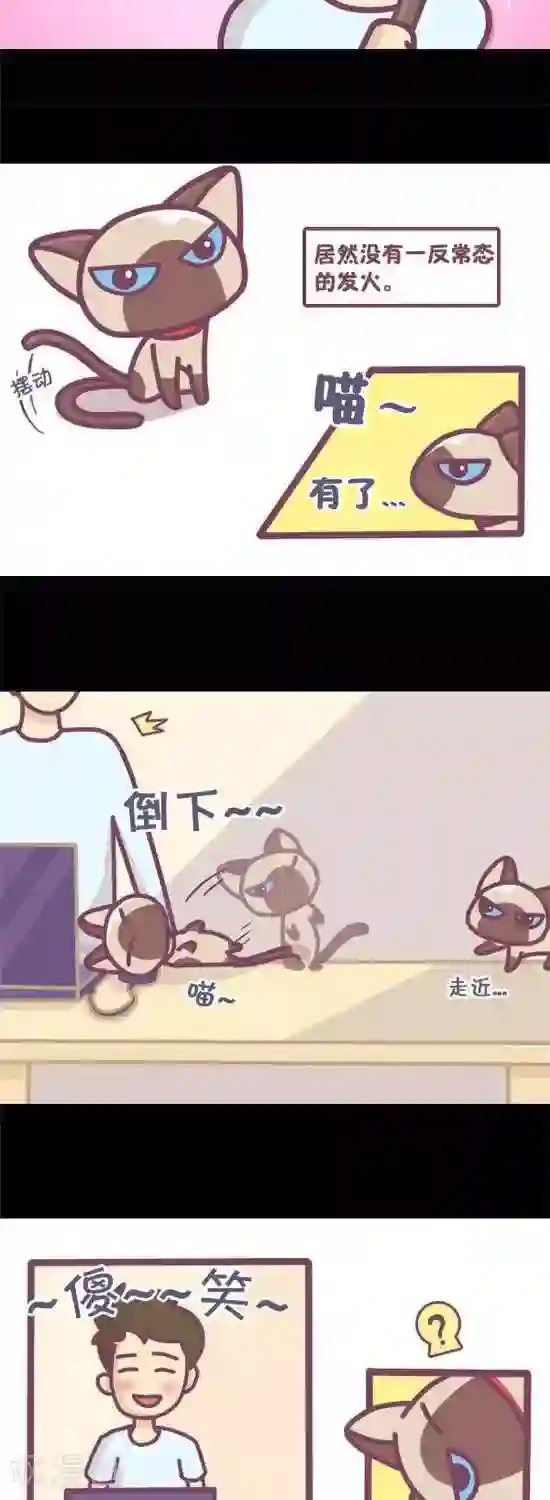 喵星人日记第13话