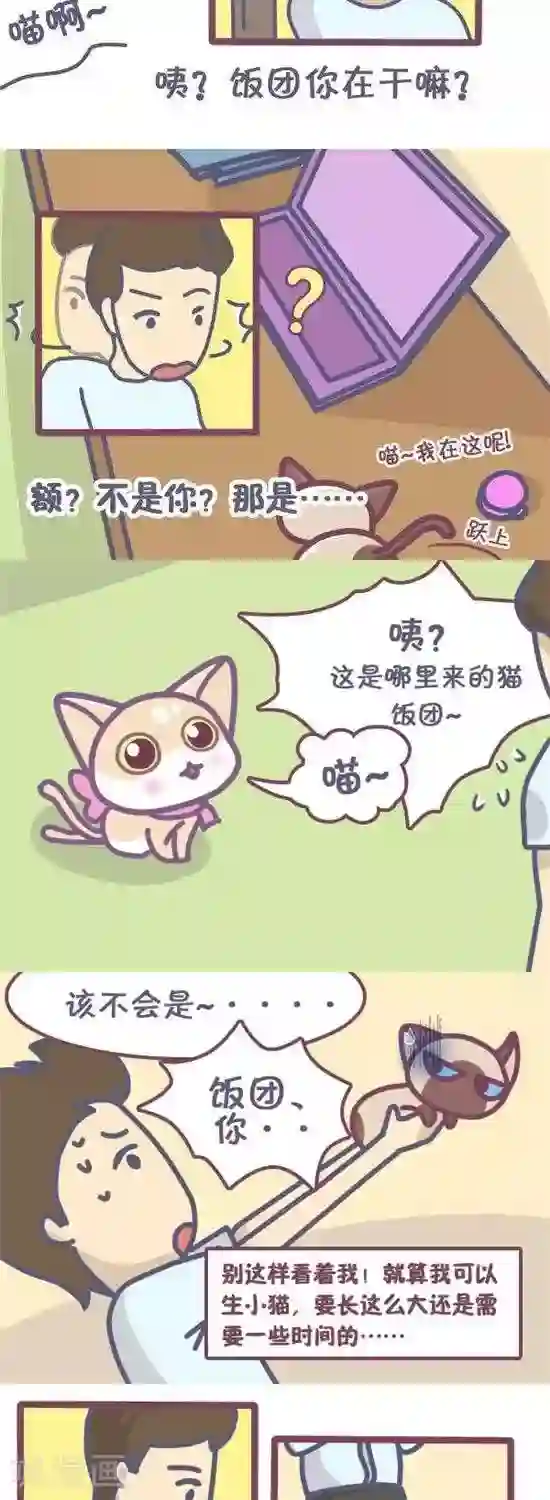 喵星人日记第17话