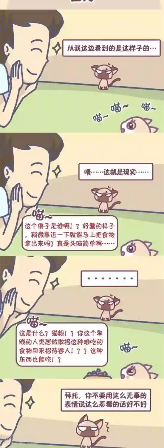 喵星人日记第17话