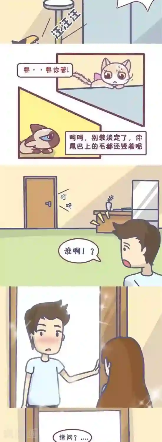 喵星人日记第18话