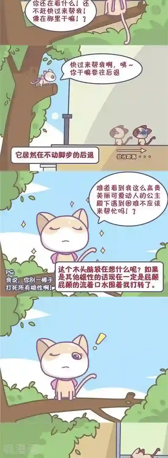 喵星人日记第22话