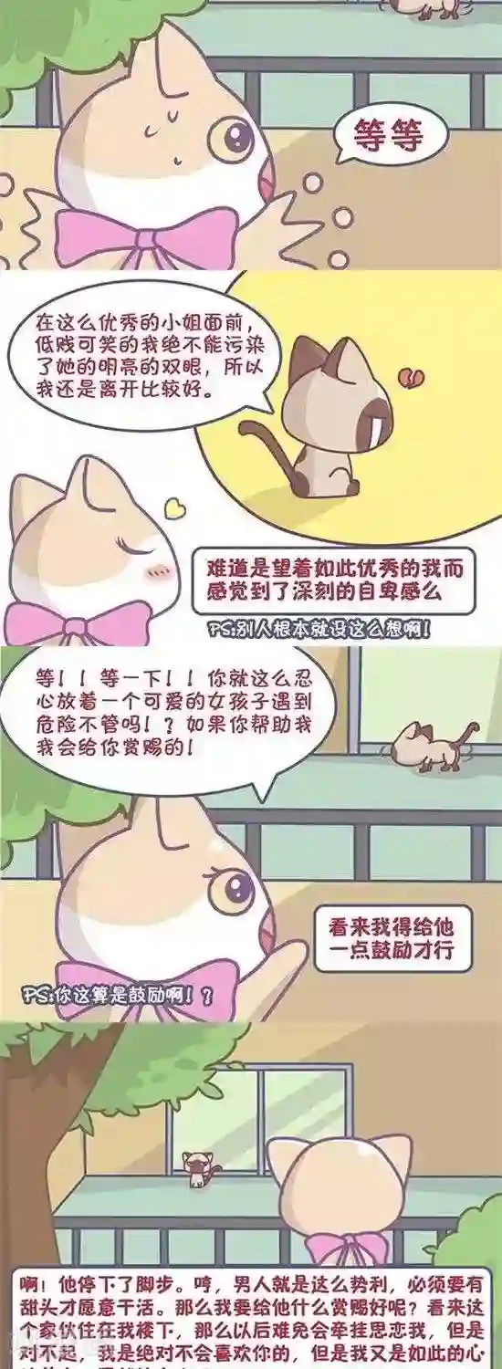 喵星人日记第22话