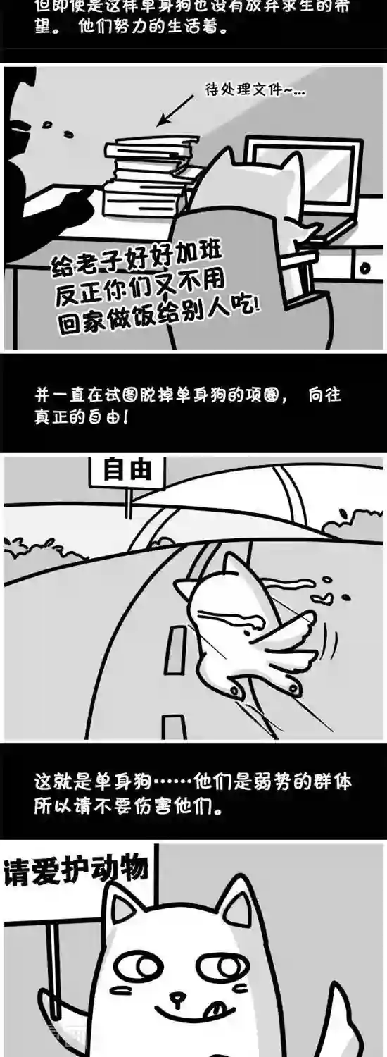 喵星人日记第23话