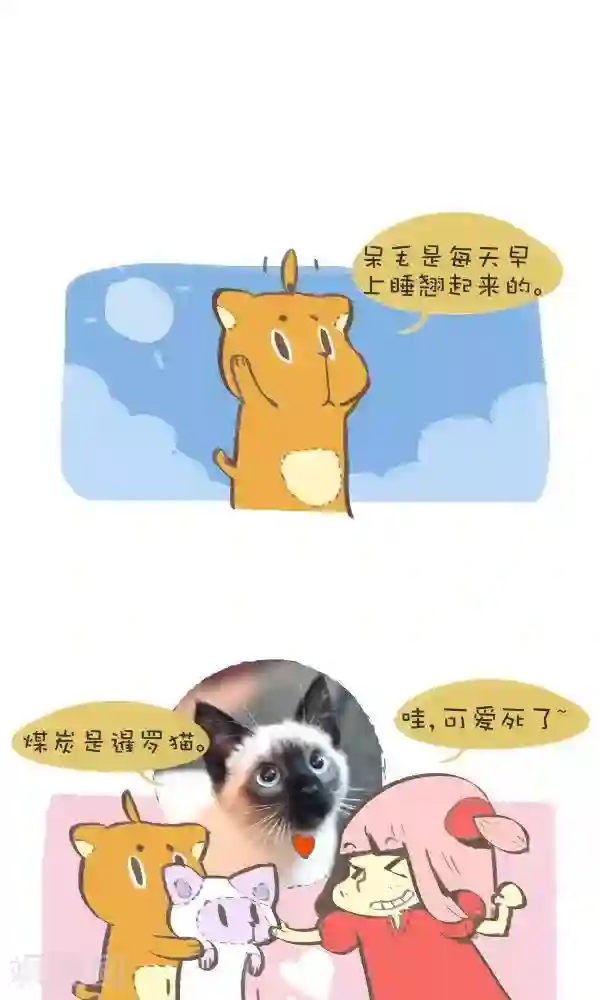 抖抖村第八十二话 原型