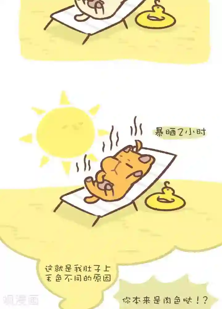 抖抖村第一百零四话 造型