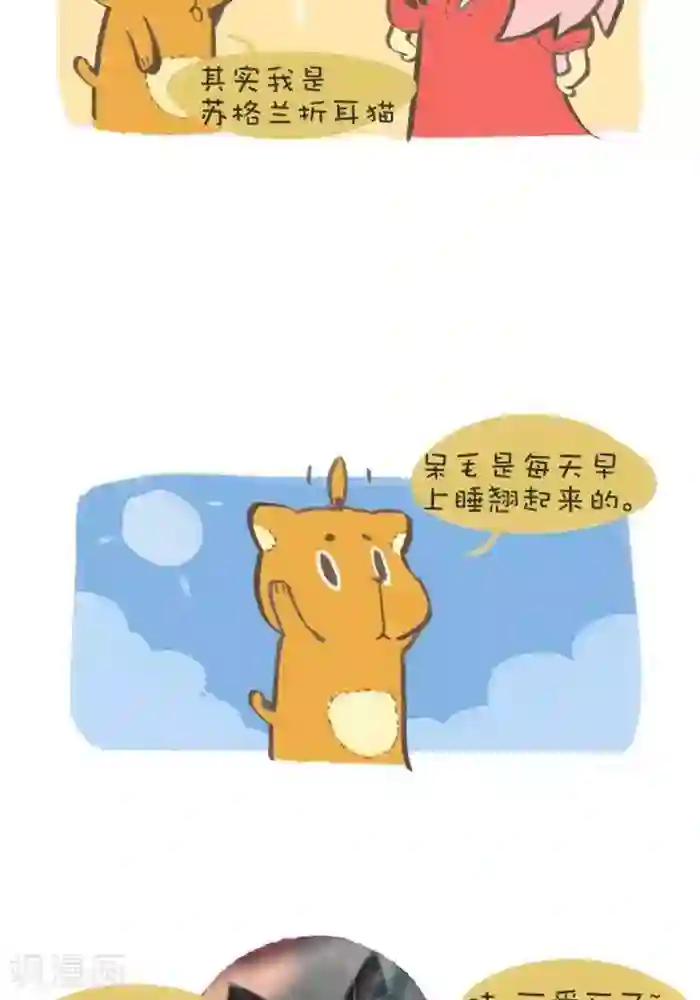 抖抖村第138话 原型