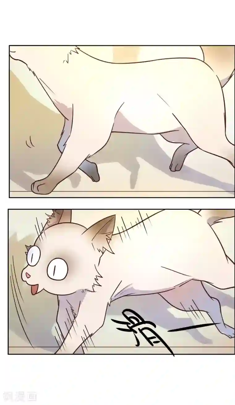 总裁您的将军掉了第17话