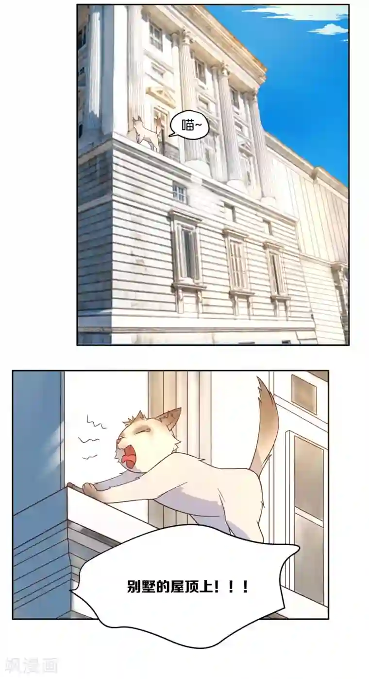 总裁您的将军掉了第17话