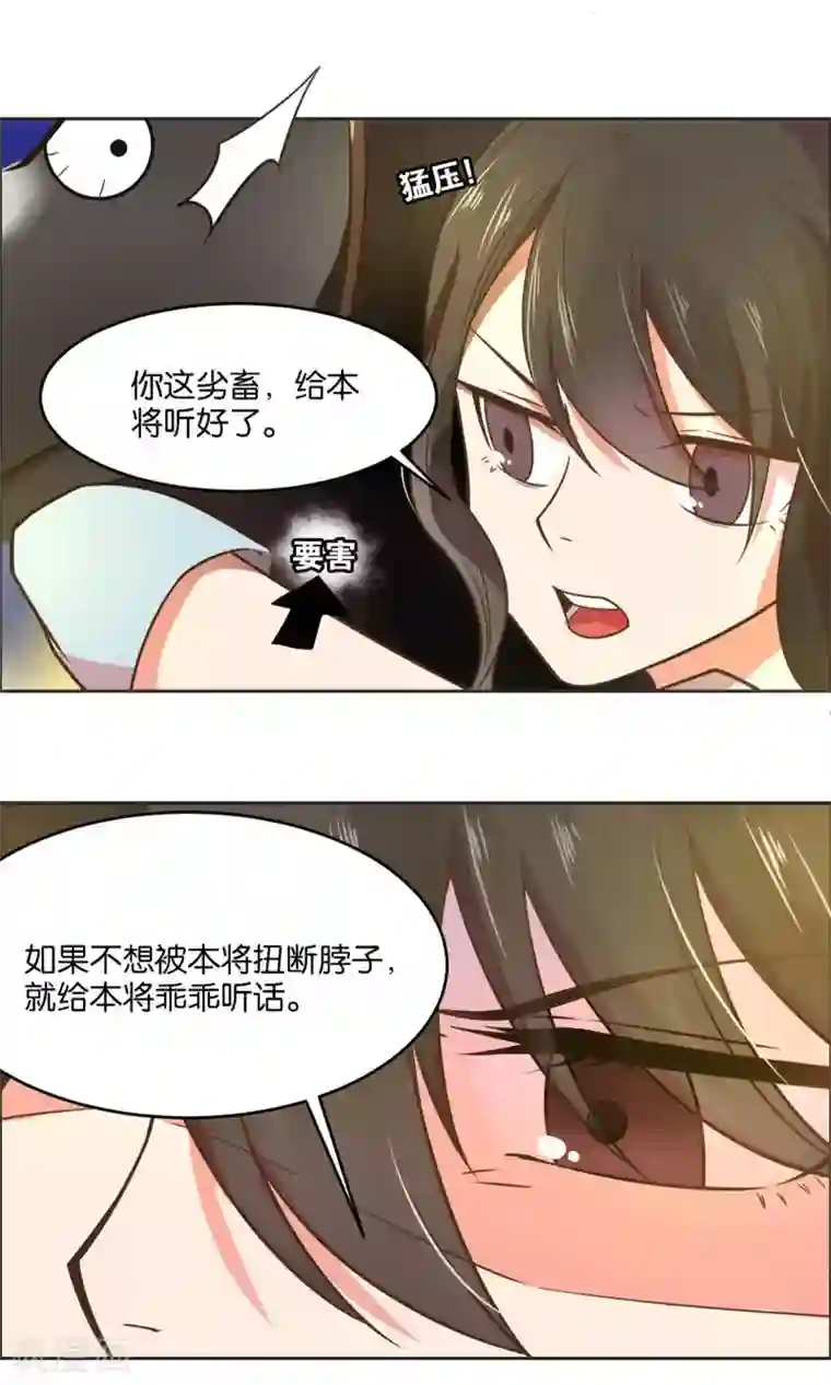 总裁您的将军掉了第23话