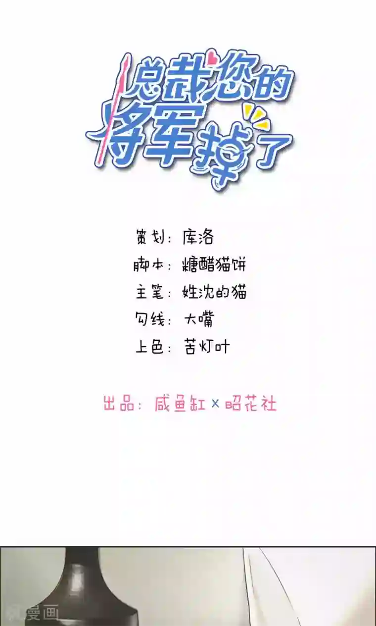 总裁您的将军掉了第28话