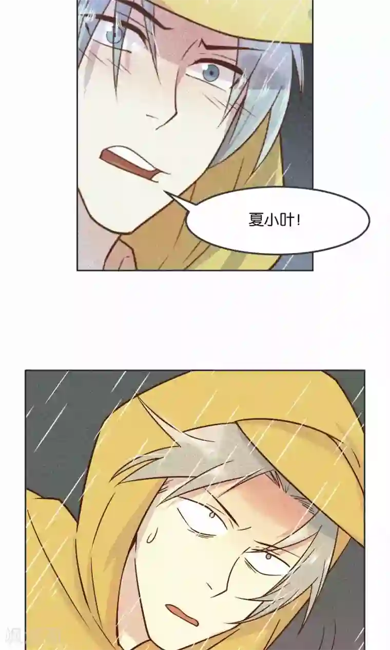 总裁您的将军掉了第28话