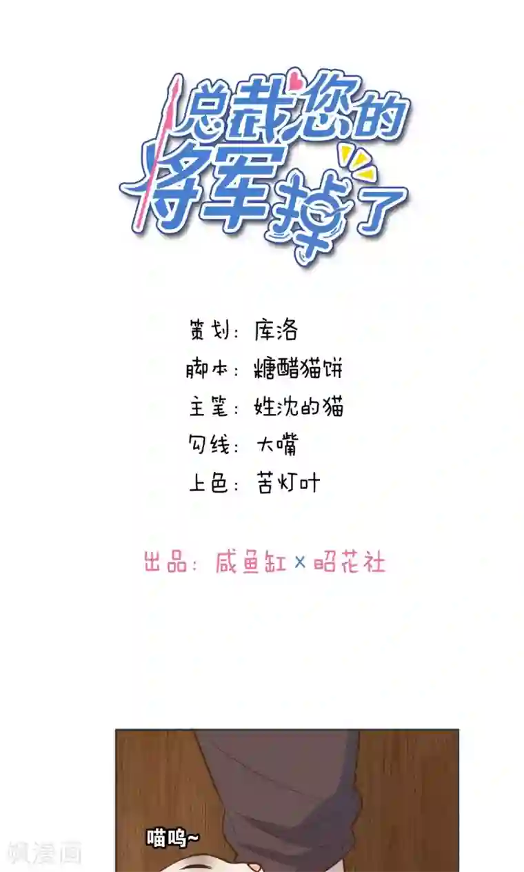 总裁您的将军掉了第29话