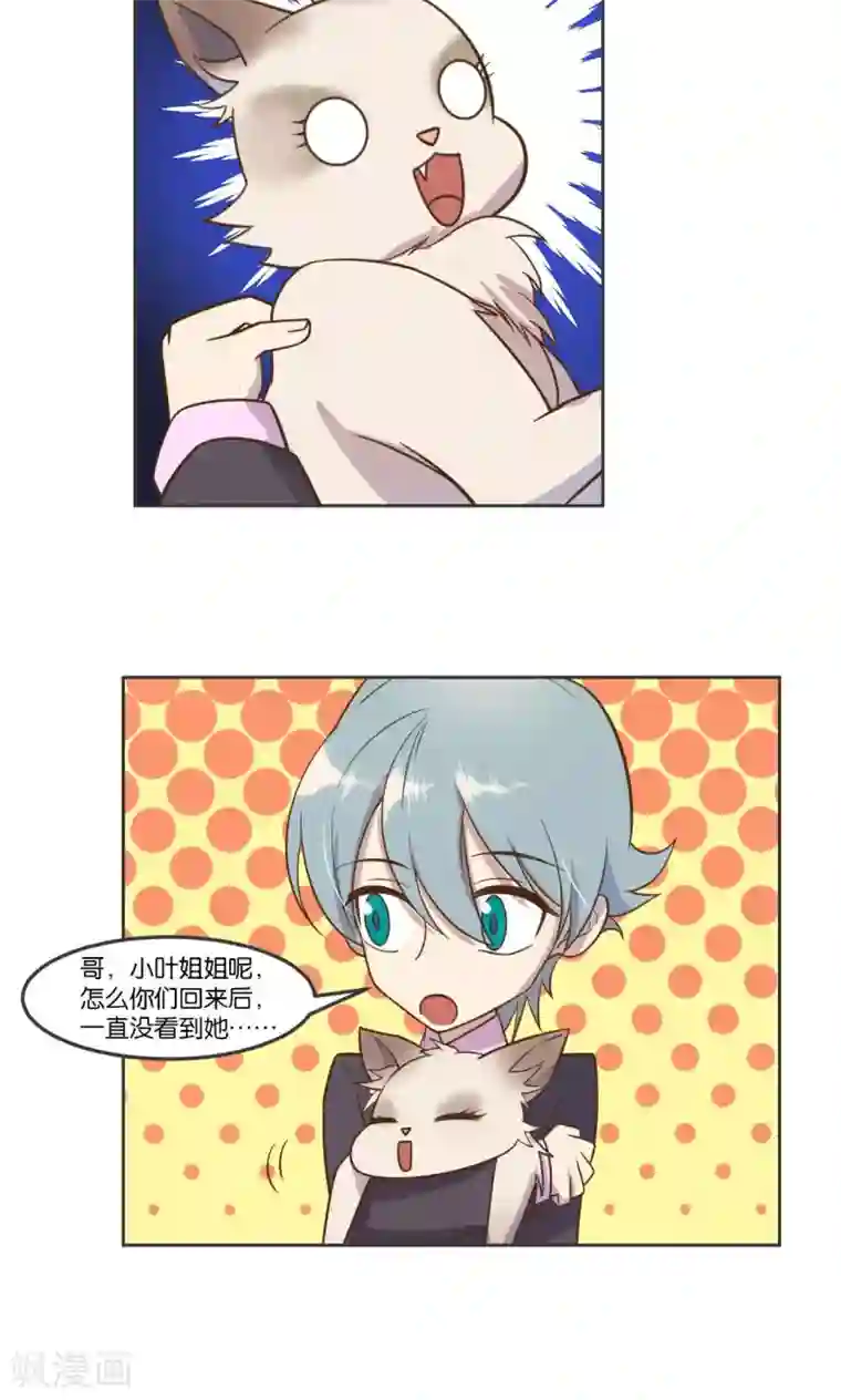 总裁您的将军掉了第29话