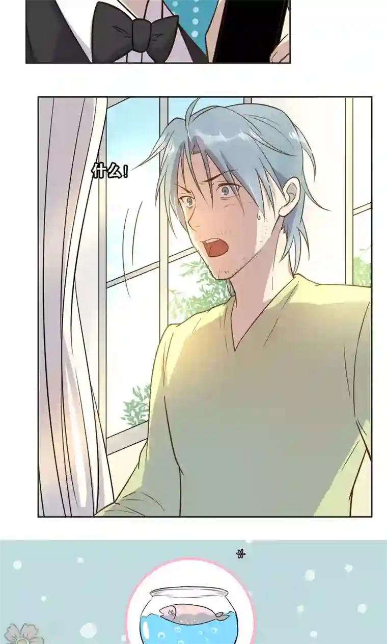 总裁您的将军掉了第29话