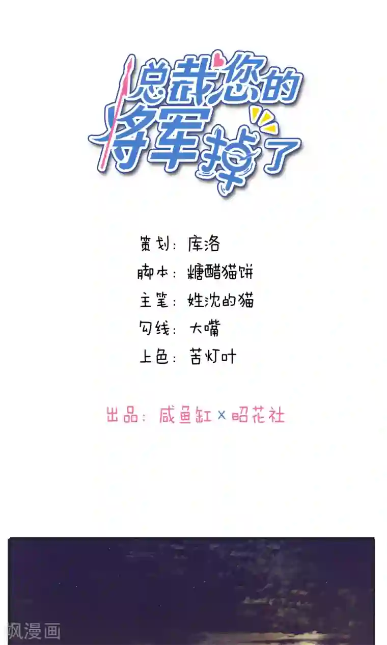 总裁您的将军掉了第33话