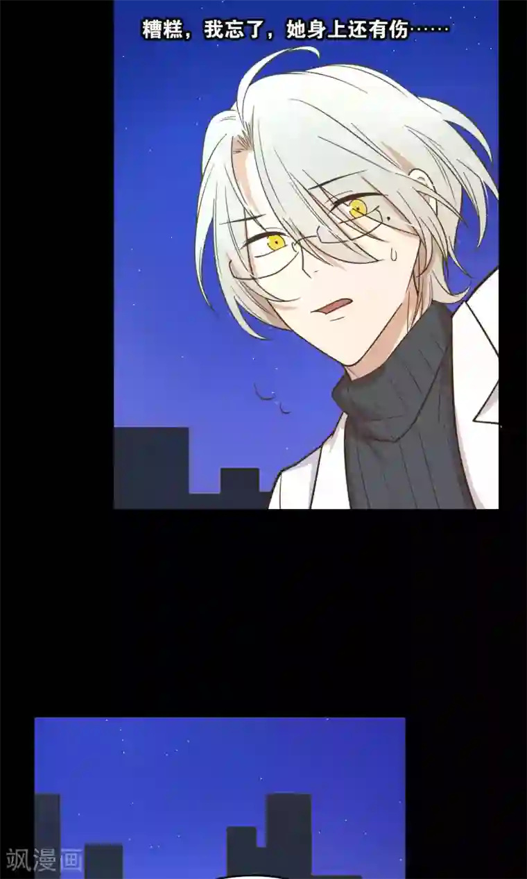 总裁您的将军掉了第36话