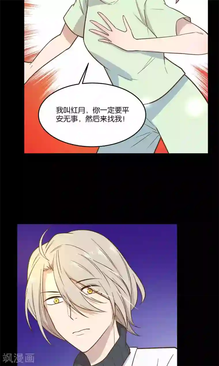 总裁您的将军掉了第36话