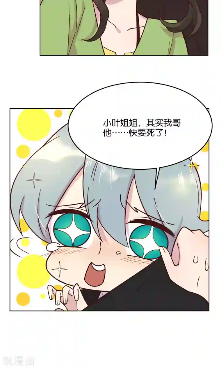 总裁您的将军掉了第38话