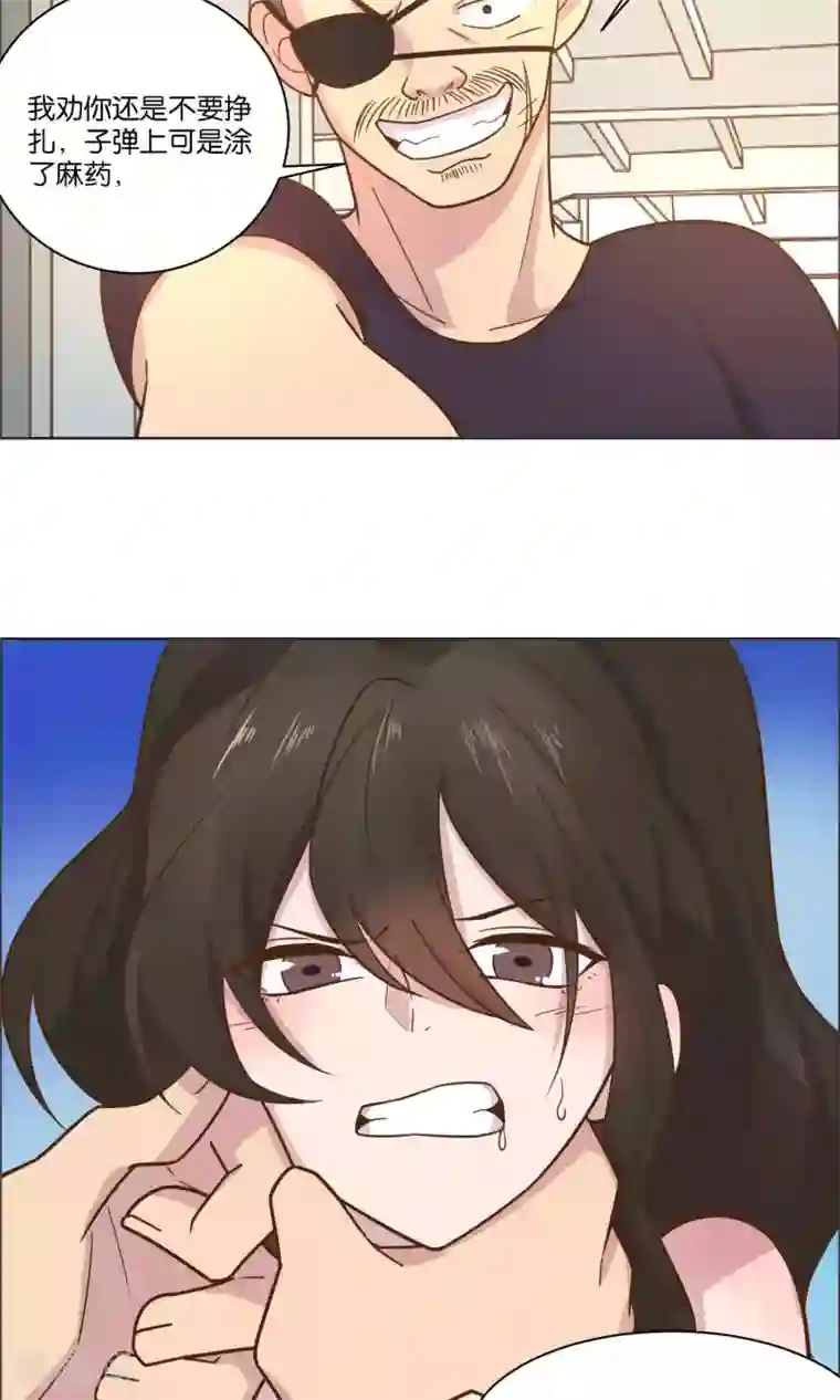 总裁您的将军掉了第43话