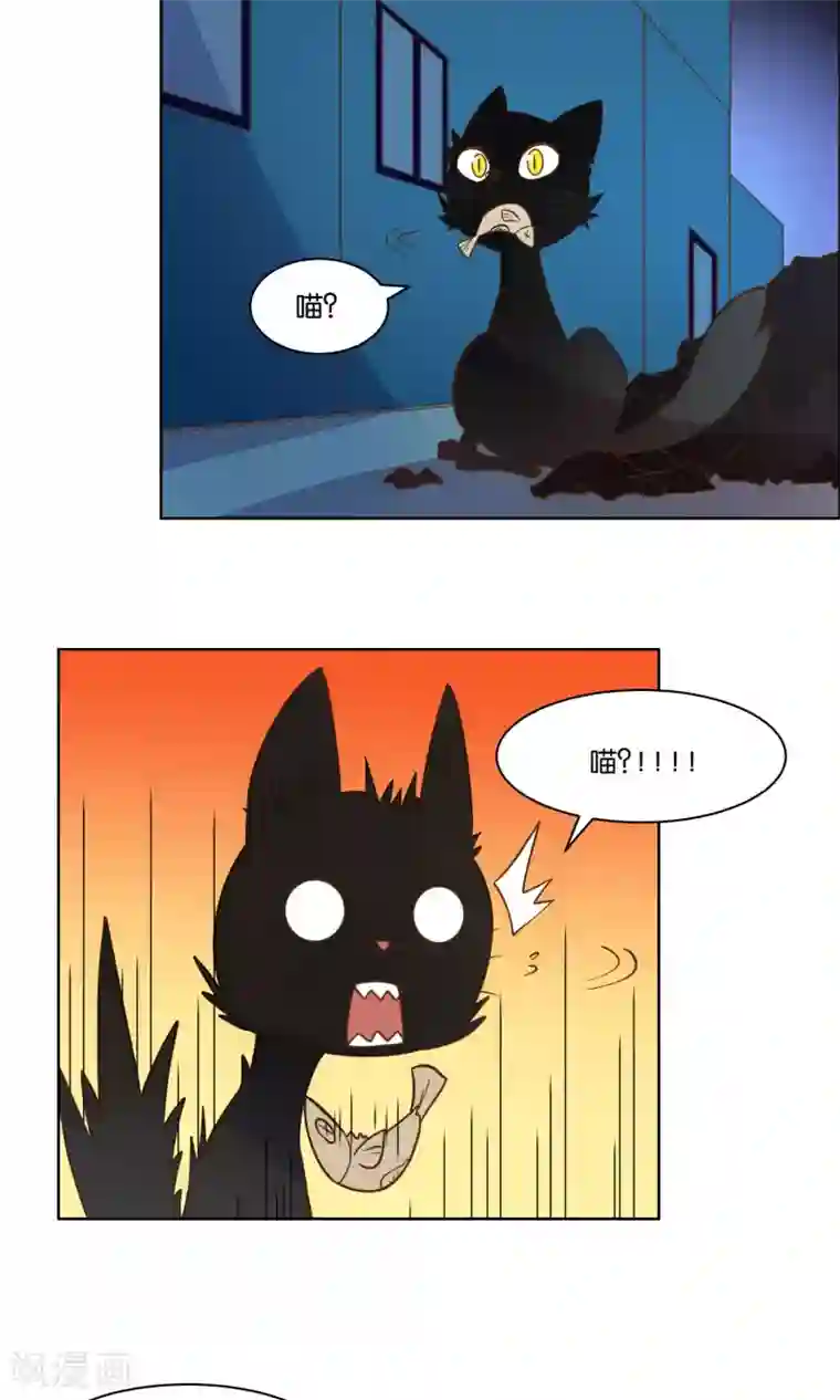 总裁您的将军掉了第63话