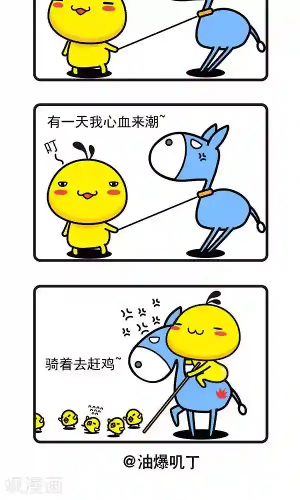 油爆叽丁第50话 小毛驴