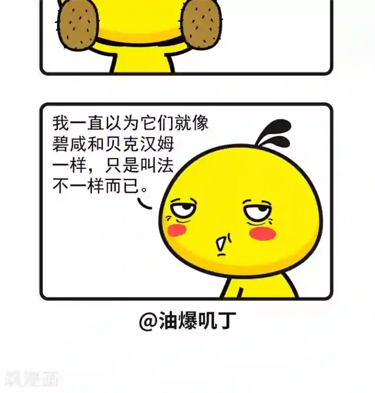 油爆叽丁第52话 一直以为