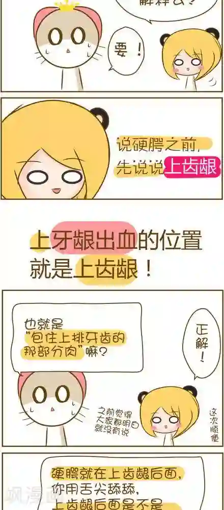 喵宝漫画从0学日语之50音篇第23话