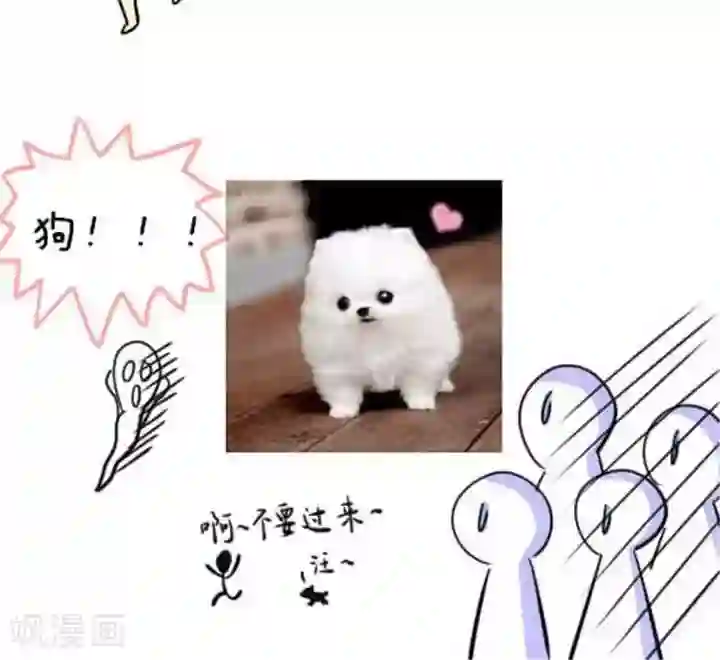 王俊凯勃起放大图第13话 怕狗的我