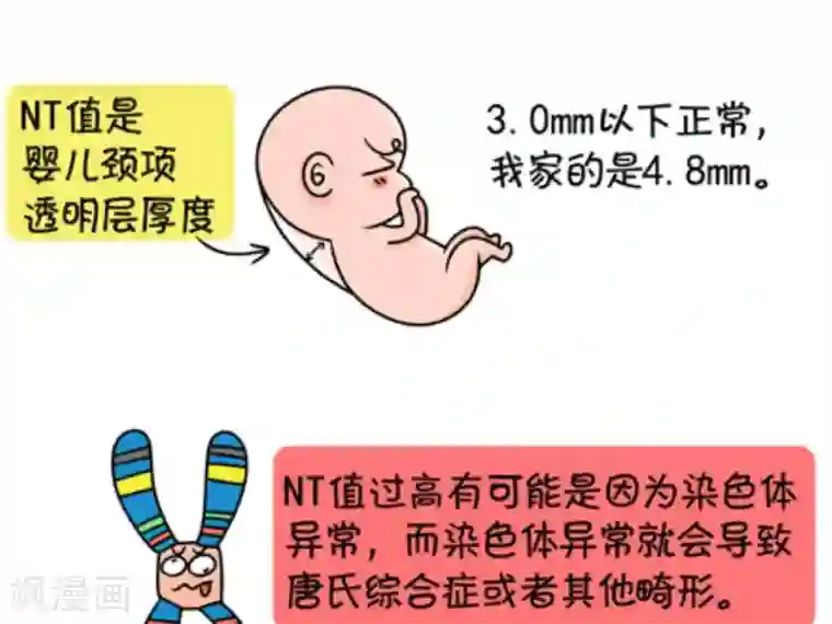 屌丝爸爸第10话 她的名字——顺